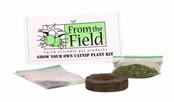 GROW YOUR OWN CATNIP PLANT KIT